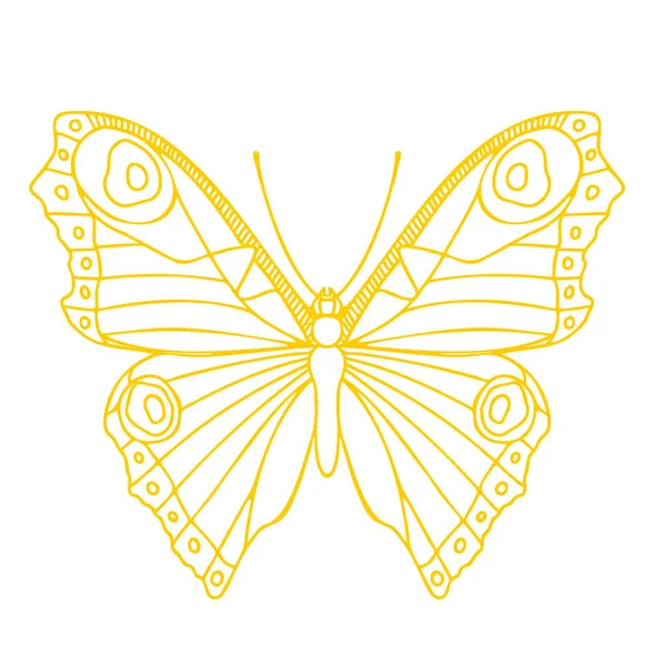 Butterfly Contour Vector Drawing Insect Butterfly Coloring Book Eps Template — Vector de stock