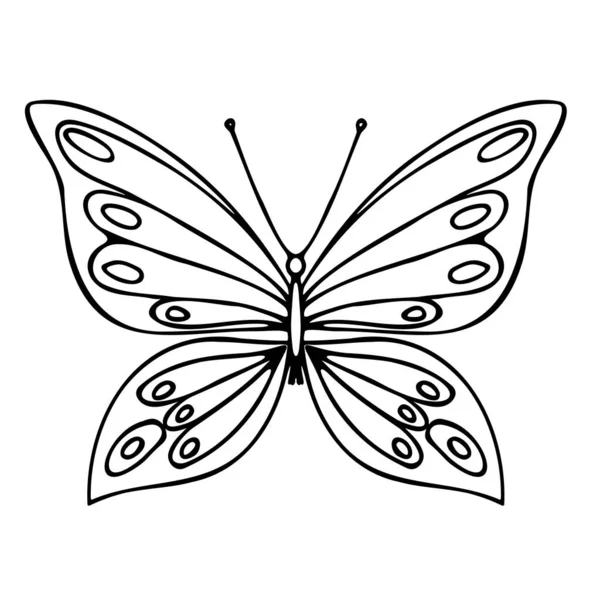 Butterfly Contour Vector Drawing Insect Butterfly Coloring Book Eps Template — Image vectorielle