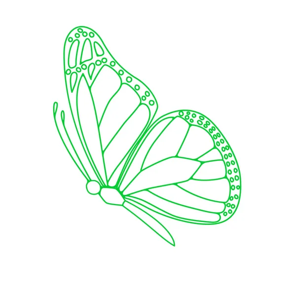 Butterfly Contour Vector Drawing Insect Butterfly Coloring Book Eps Template — Vector de stock