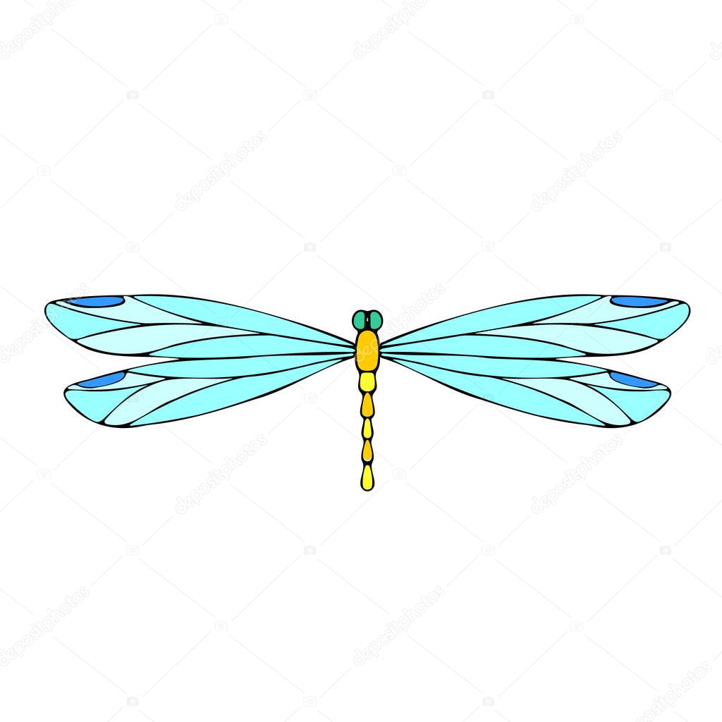 Dragonfly vector drawing. Insect dragonfly coloring book. EPS 10 Template