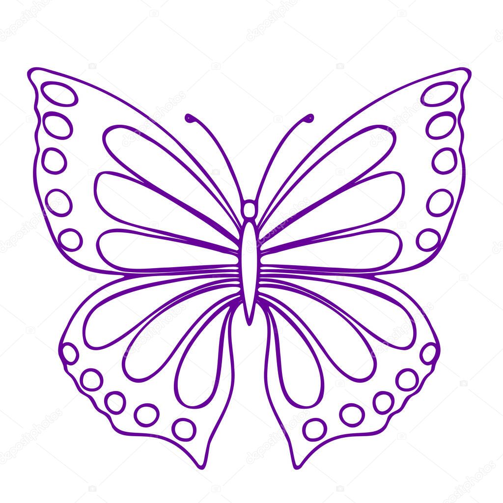 Butterfly contour vector drawing. Insect butterfly coloring book. EPS 10 Template