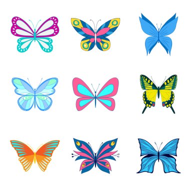 A set of vector butterflies. Different colorful butterflies.