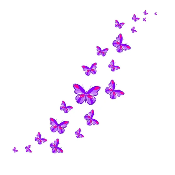 Flock Flying Butterflies Decoration Postcard Packaging Website Page Vector Illustration — Stock Vector