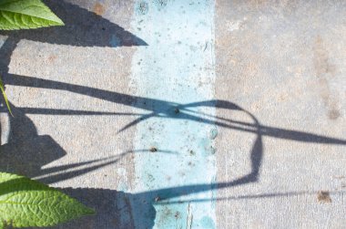 The texture of concrete with traces of old blue paint. The shadow of the grass on the concrete, illuminated by the sun.