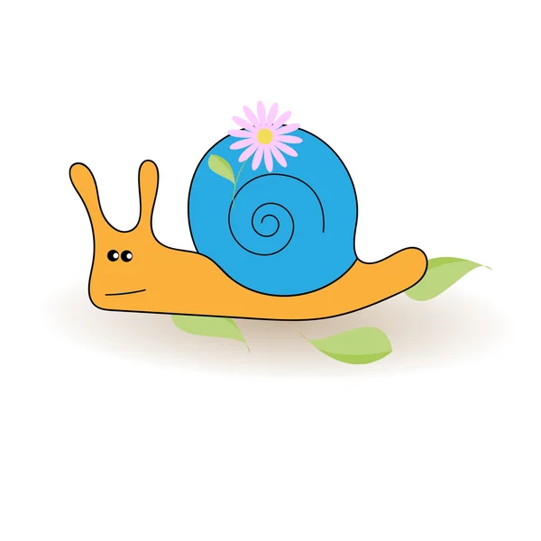 snail, vector illustration
