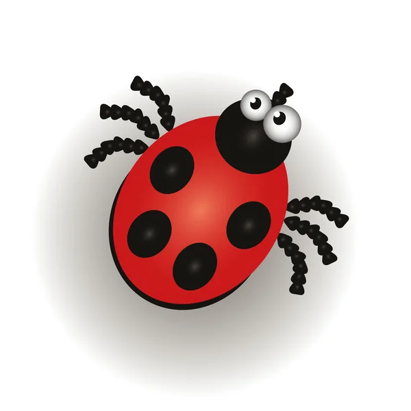 Ladybug isolated on the white background — Stock Vector