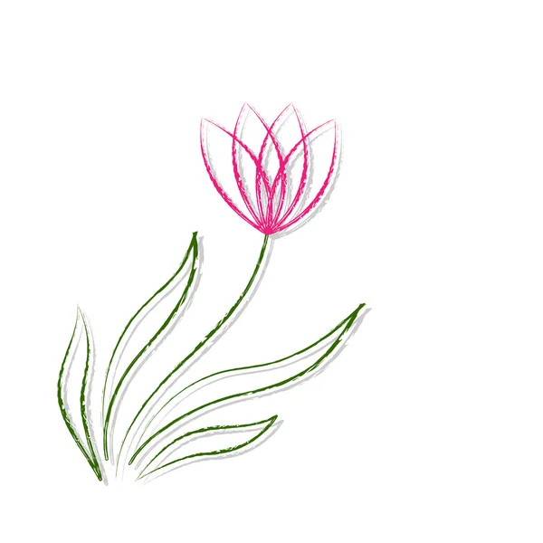 Zeichnung Blume auf Tafel Illustrationsvektor — Stockvektor