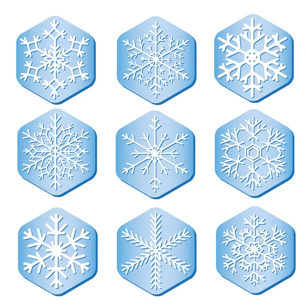 Векторні сніжинки на шматочках льоду — стоковий вектор