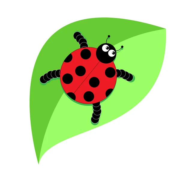 Red ladybug on green leaf — Stock Vector