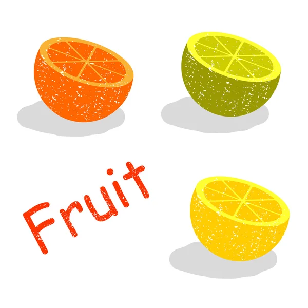 Wektor zestaw owoców cytrusowych w sekcji — Wektor stockowy