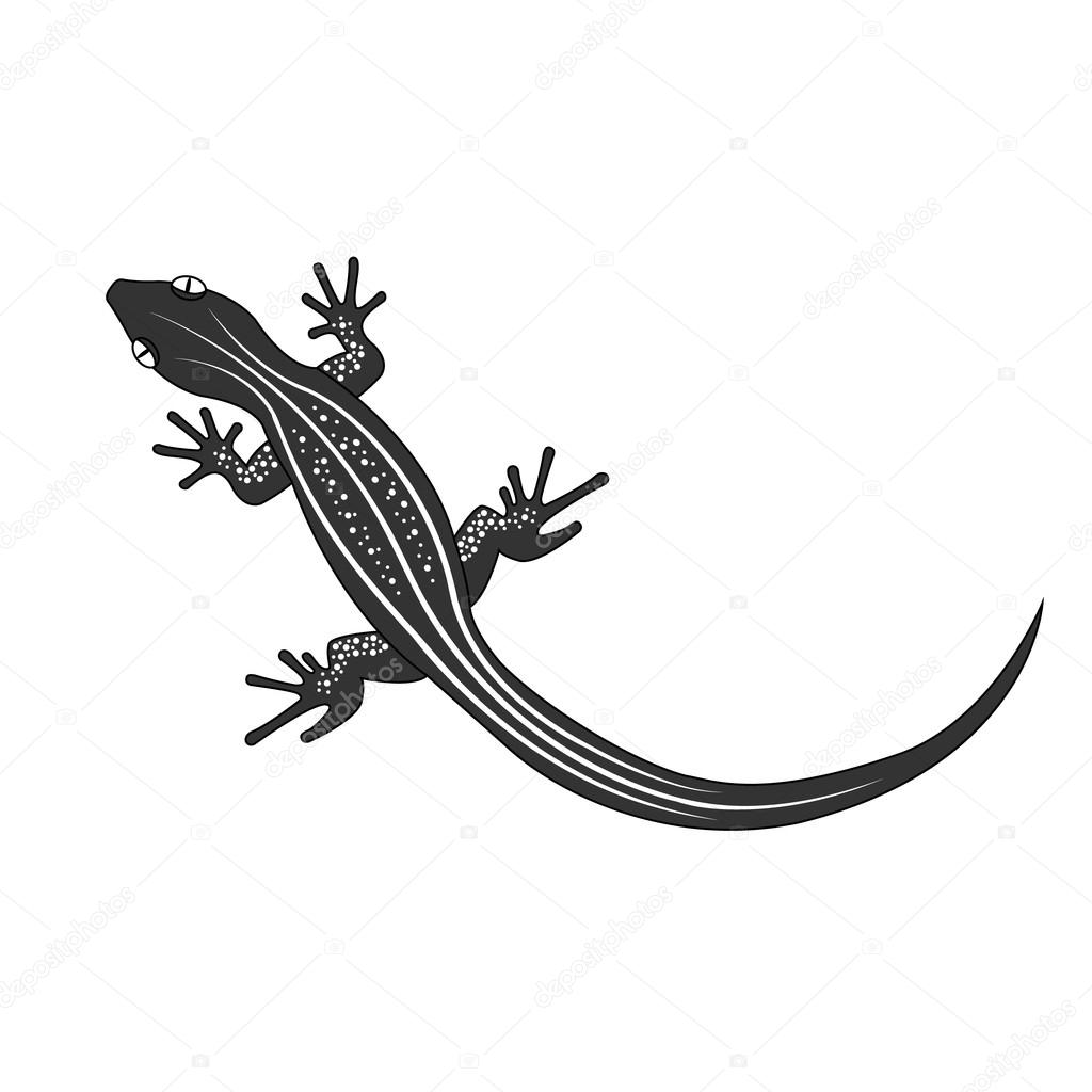 Beautiful  monochrome lizard, lizard silhouette. Vector illustration.