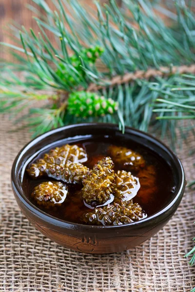 Engarrafamento de cones de pinheiro — Fotografia de Stock