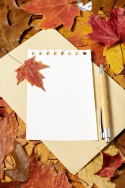Sonbahar mektubu. Zarflı boş kağıt ve düşmüş yaprakların üzerine bambu kalem.