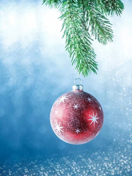 Christmas Red Ball Fir Branch Blue Bokeh Background Decorative Snow Stock Picture