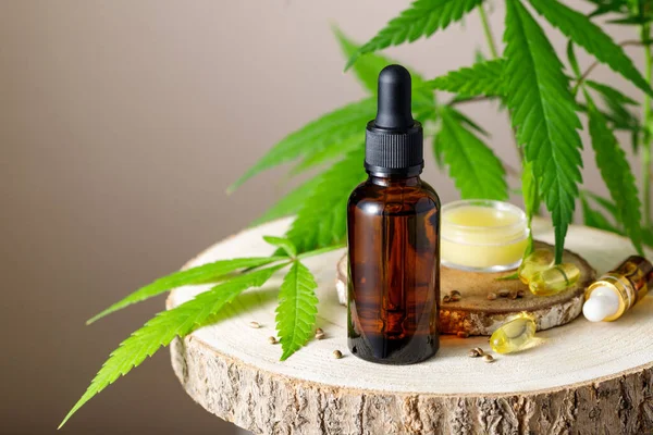 CBD yağ damlası şişesi ve kapsülleri, kenevir bitkilerinin arka planındaki ahşap tezgahtaki tıbbi kenevir tohumlarından merhem. Kopyalama alanı olan gri kahverengi arkaplan