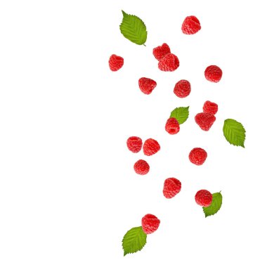 Yaprakları dökülen taze ahududular beyaz arka planda tek başına uçuyor.