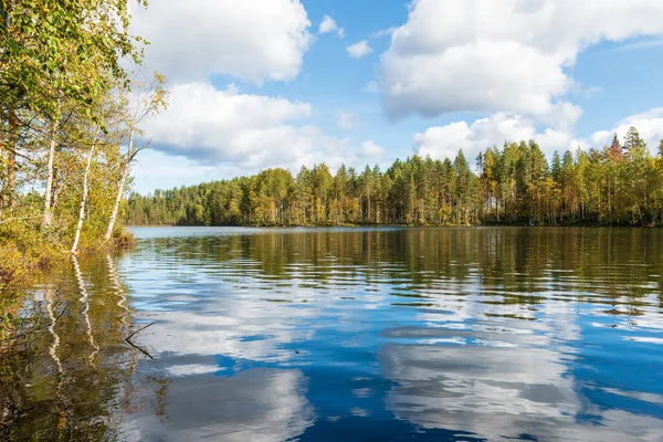 Lago Foresta Con Cielo Blu Nuvole Bianche Riflesso Una Giornata — Foto Stock