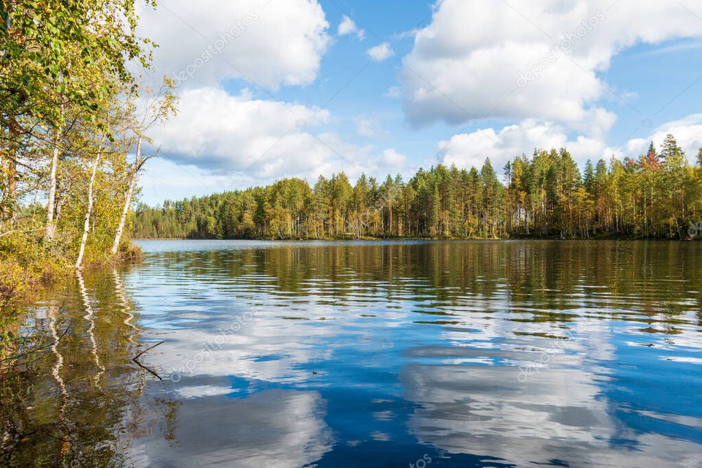 Forest lake with blue sky and white clouds reflection on a sunny day. Northern nature water landscape