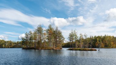 A small islands covered with trees on a forest lake on a sunny windy day against a blue sky with clouds and waves on the water in early autumn. Northern europe nature, water landscape