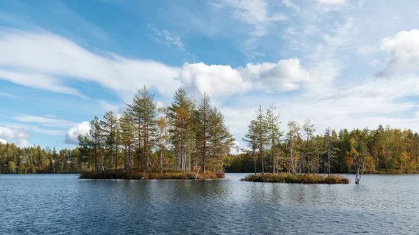 小さな島々は 初秋には雲や波が水面に浮かぶ青い空に対して晴れた風の日に森の湖の木で覆われています 北ヨーロッパの自然 水の風景 — ストック写真