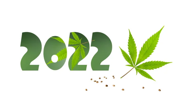 Gott Nytt Illustration 2022 Text Med Cannabis Blad Och Frön — Stockfoto