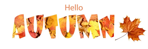Hallo Herbst Hintergrund Mit Text Von Abgefallenen Blättern Fallbanner Mit — Stockfoto