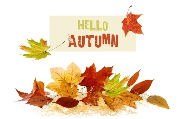 Hallo Herbst Textkarte Und Gefallenes Laub Auf Stroh Isoliert Auf — Stockfoto