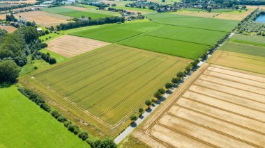 Alman kırsalının havadan güzel manzarası. Güneşli yaz gününde tarlaların doğal renk deseni. Drone fotoğrafçılığı