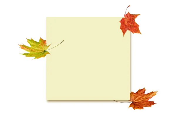 Blanco Nota Papier Met Herfst Esdoorn Bladeren Geïsoleerd Witte Achtergrond — Stockfoto