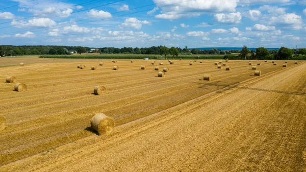 Farm Field Harvest Haystacks Sunny August Day Panoramic Aerial Drone — Stock Photo, Image