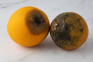 Çürümüş sağlıksız portakal meyveleri beyaz mermer arka planda kapanıyor. Yiyecek atıkları.