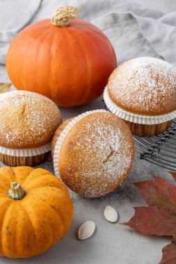 Taze pişmiş balkabaklı tarçınlı kek şekerli pudra şekeri. Sonbahar mevsimlik tatlı olarak yakın plan. Fırın rafında tatlı kekler, balkabağı sebzeleri ve tohumlar, açık gri taş masadaki akçaağaç yaprakları 