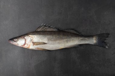 Soyulmamış taze zander ya da grunge stone masa arka planında levrek balığı. Çiğ Walleye tatlı su balığı hazırlamaya ve pişirmeye hazır..