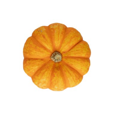 Taze, turuncu, sarı balkabağı çeşnili maytap beyaz arka planda izole edilmiş. Sağlıklı sonbahar yenilebilir balkabağı. Sebze Koleji.