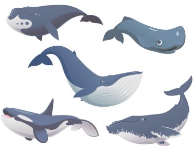Big set cartoon whales clipart