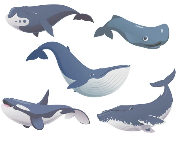 Big set cartoon whales — Stock Vector