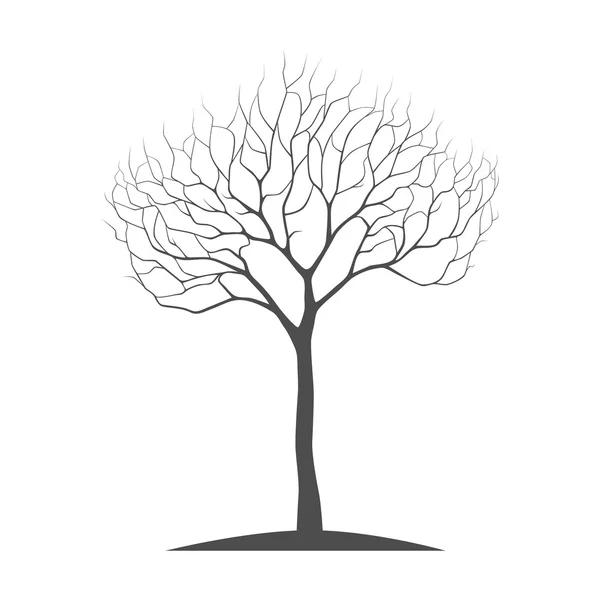 Ağaç siluet vektör — Stok Vektör