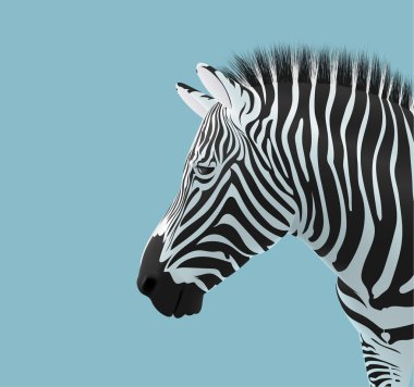 Zebra kafa