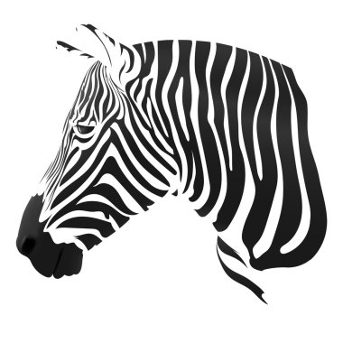 Zebra çizgili