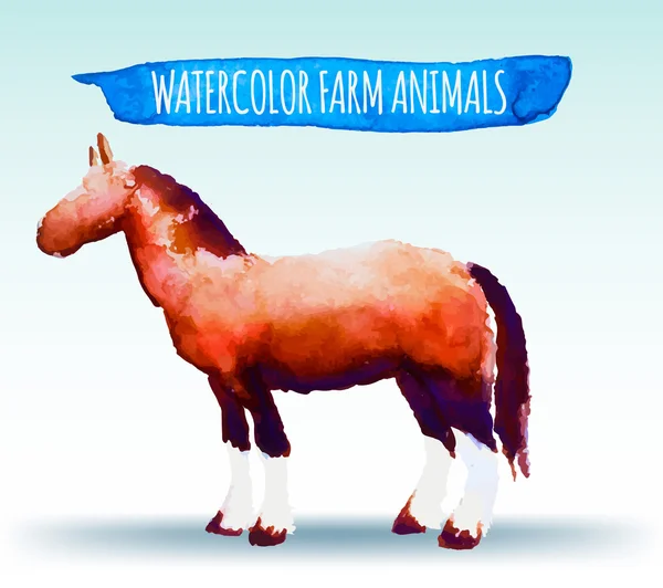 Kleur aquarel paard — Stockvector