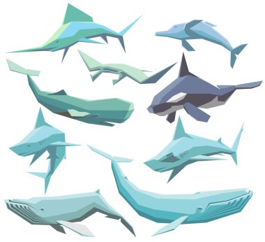 deniz hayvanları, koleksiyon