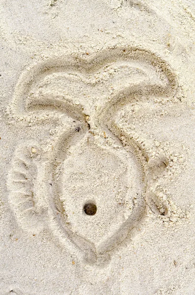 Pesce disegnato sulla sabbia — Foto Stock