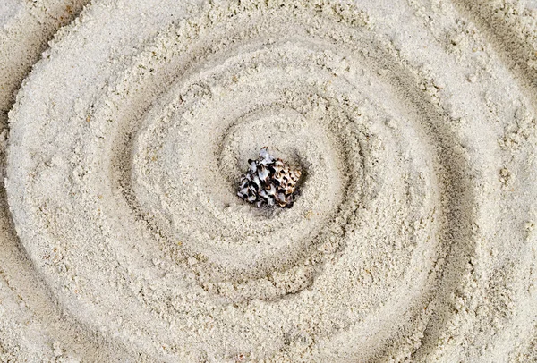 Een gootsteen van een weekdier is in een cirkel op zand — Stockfoto