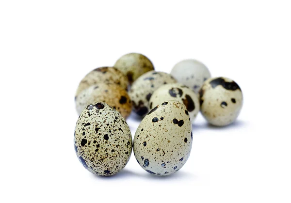 Яйца перепела — стоковое фото