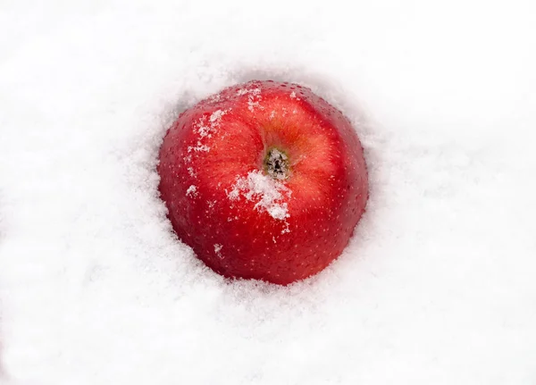 Czerwony jabłko na śniegu — Zdjęcie stockowe