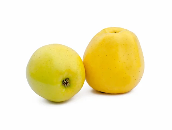 Duas maçãs amarelas — Fotografia de Stock