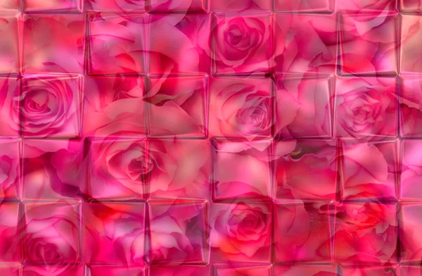 Pink background with transparent flowers — Stock Photo, Image