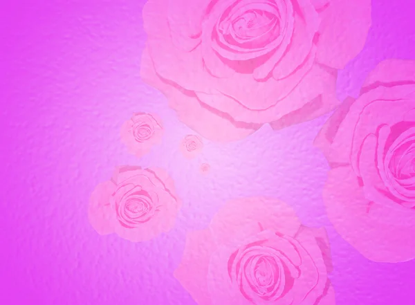 Sfondo rosa con rose trasparenti — Foto Stock