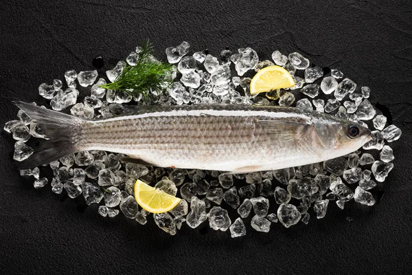 Peixe de lagarta fresco no gelo em uma mesa de pedra preta vista superior — Fotografia de Stock