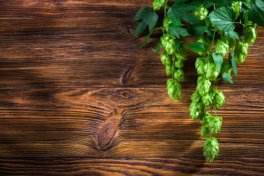 Dal üzerinde kahverengi ahşap masa hop